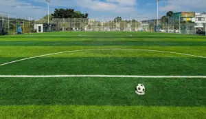 ENO-MAX Football Artificial Turf Grass Good Prices Anti-uv PE for Indoor Outdoor Soccer Field Service Life 8~10 Years