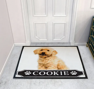 Personalized Logo Doormat Nylon Printed Carpets and Rugs With Rubber Backing Custom Printed Logo Door Mat