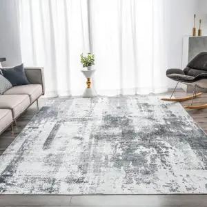 CF Manufacturer silkg straight Luxury style Chenille indoor Area Regional rugs for Custom Print Persian Area carpets washable